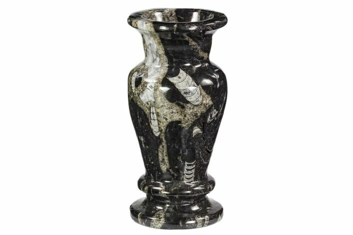 Limestone Vase With Orthoceras Fossils #104618